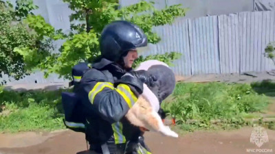 Пожарные спасли кота во время тушения дома на набережной Обводного канала
