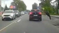 В Петербурге нескольких нарушителей ПДД нашли инспекторы ГАИ на основе видео из соцсетей