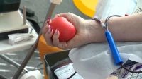 День донора крови отмечают во всем мире