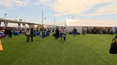 В пространстве «Флагшток» проходит федеральный этап Всероссийской ярмарки трудоустройства