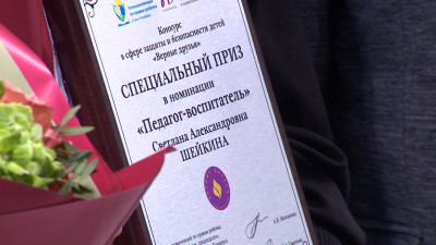 Взрослые профессионалы в помощь детям: в Академии талантов наградили «Верных друзей»