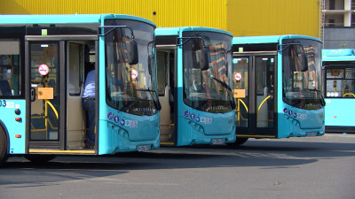 В автобусном парке Петербурга появятся 293 новых дизельных автобуса