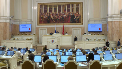 Поддержка многодетных семей и молодых мам: как проходит заседание Законодательного Собрания Петербурга