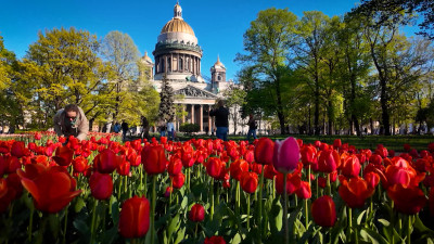 Петербуржцев ждет солнце и +22 градуса 4 июня
