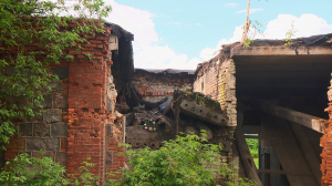 Опасное лето. Правила, которые спасут жизнь ребенку