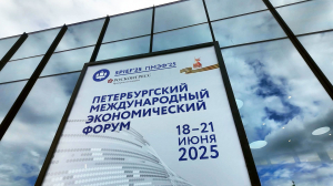 Петербургский международный экономический форум. Антология. 28 лет спустя