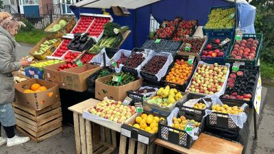 В Петербурге изъяли более тонны нелегальных фруктов и овощей