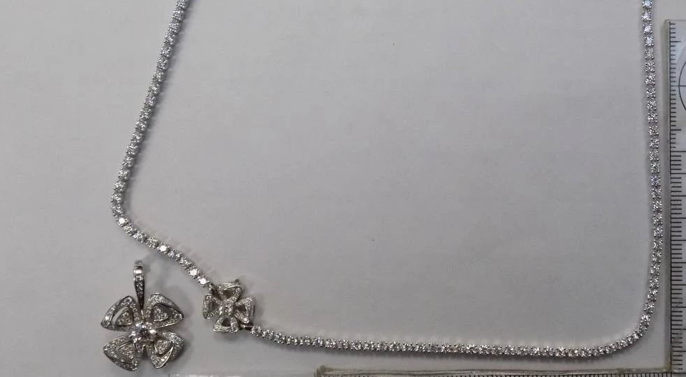 Петербурженка получила условный срок за контрабанду ювелирных украшений - tvspb.ru