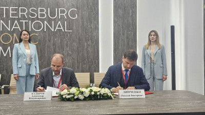 В Петербурге появится современный комплекс для бездомных животных