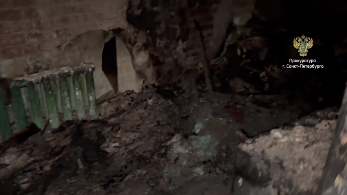Мужчина, по вине которого в сгоревшей коммуналке в центре Петербурга погибли пять человек, получил 2,5 года колонии - tvspb.ru