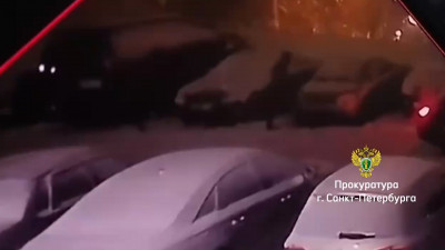 Двое жителей Петербурга получили по три года колонии за разбой и грабеж со стрельбой