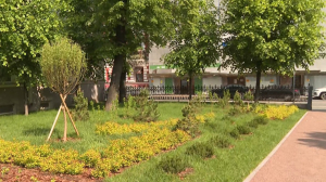 Вечнозелёный уголок: сквер на углу улиц Некрасова  и Маяковского открылся после обновления