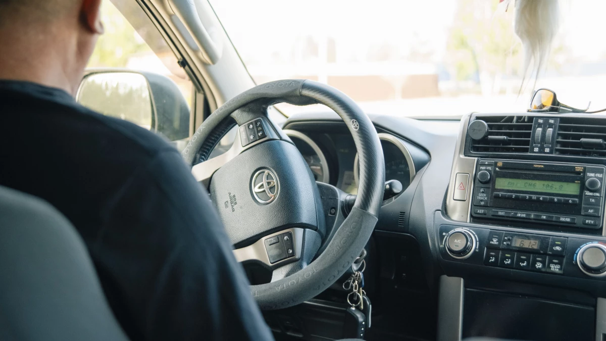 Вместо «елочки»: врач призвала заменить ароматизаторы в машине на корицу - tvspb.ru