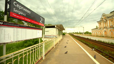 Полицейские помешали юным зацеперам отправиться в опасную поездку на электричке