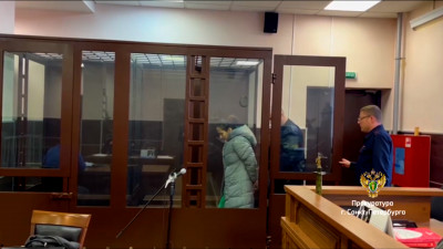 Пушкинский районный суд оштрафовал мать ребенка, умершего из-за отсутствия медицинской помощи