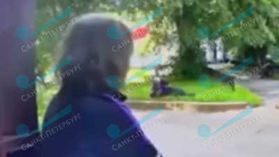 Атлет избил пожилого ученого в Металлострое