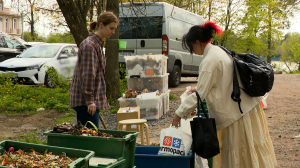 Такие странные, но полезные питомцы: как разведение червей у себя дома помогает в борьбе за экологию