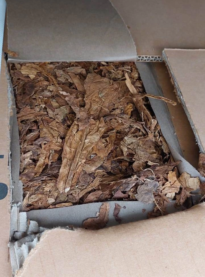 Свыше 59 тонн табачного сырья из Бразилии не пустили в Петербург из-за опасных насекомых - tvspb.ru