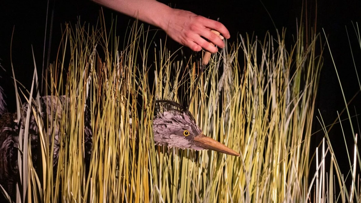 Петербургские театры стали лауреатами премии «Золотая Маска» - tvspb.ru