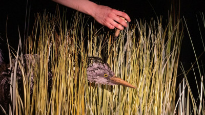 Петербургские театры стали лауреатами премии «Золотая Маска»