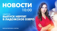 Новости Петербурга к 10:00