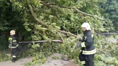 МЧС: При разгуле стихии в Петербурге пострадали 5 человек, 8 автомобилей повреждены