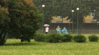 В «Водоканале» рассказали, сколько налило на юге Петербурга