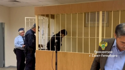 Житель Петербурга получил 10 лет колонии за смертельный удар ножом в сердце