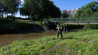 Как в Полежаевском парке Красносельского района ведут борьбу с засильем борщевика