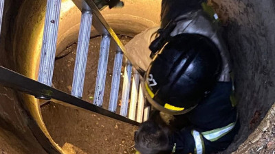 Бездомного кота Виталия спасли из канализационного люка в Курортном районе