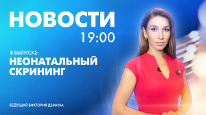 Новости Петербурга к 19:00