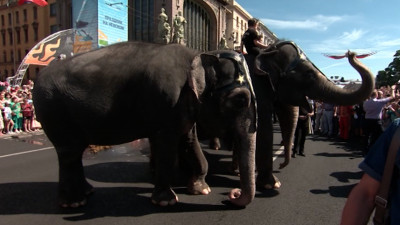 Президент Лаоса Тхонглун Сисулит объявил о намерении подарить Петербургу двух слонов