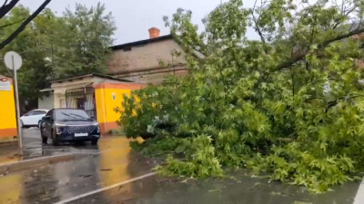 Ливень, град и упавшие деревья: в Петербург пришел грозовой фронт