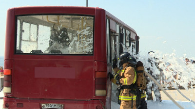 Лучшие спасатели Северной столицы демонстрируют навыки в парке 300-летия Петербурга