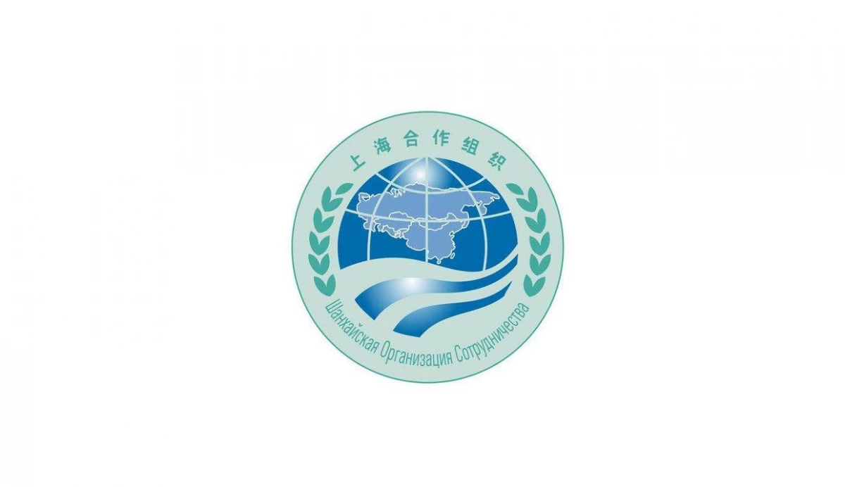 Генконсул КНР в Санкт-Петербурге Ло Чжаньхуэй: Содействие реформе системы глобального управления и написание новой главы развития ШОС - tvspb.ru