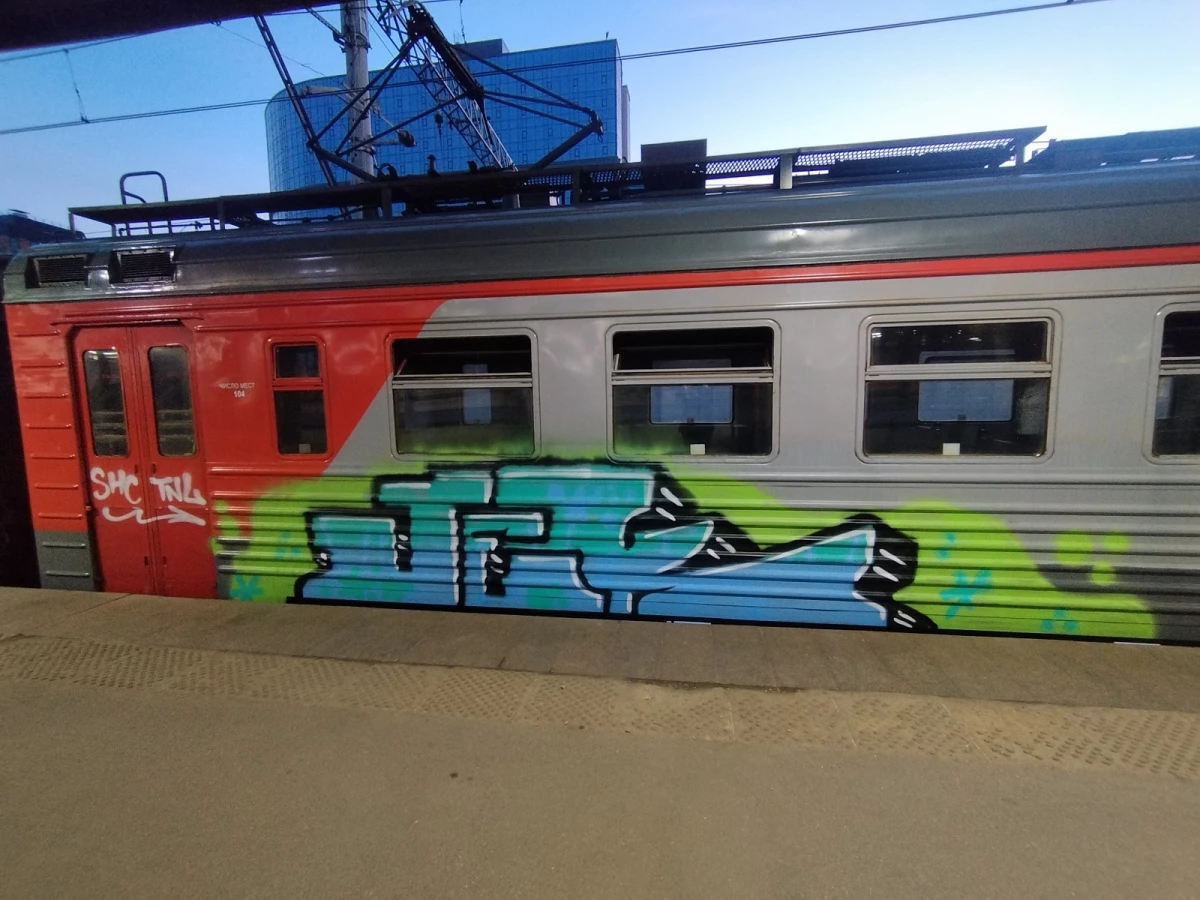 На станции Невдубстрой полиция задержала 21-летнего петербуржца, разрисовавшего электричку - tvspb.ru