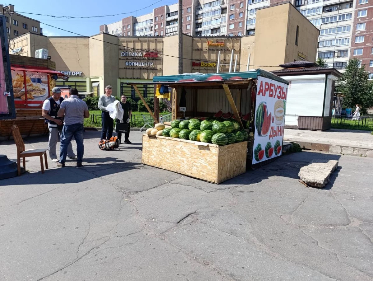 Нелегальную точку по продаже арбузов и дынь демонтировали на проспекте Энгельса - tvspb.ru