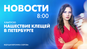 Новости Петербурга к 8:00