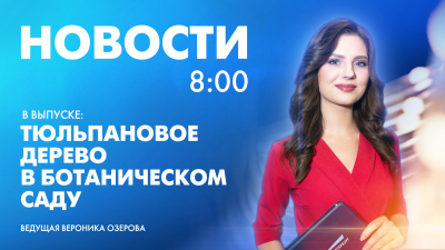 Новости Петербурга к 8:00