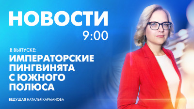 Новости Петербурга к 9:00