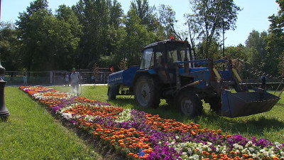 Садовники спасают деревья и цветы от аномальной жары в Петербурге, поливая их дважды в день