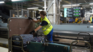 Трудовой семестр в аэропорту Пулково