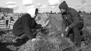 История ленинградских студенческих отрядов