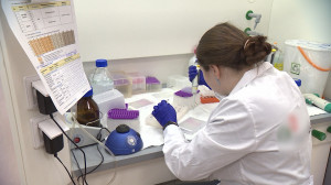 Производство и экспорт лекарств в Республику Беларусь