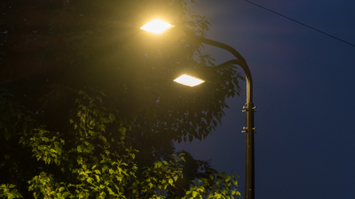 Александр Беглов: Микрорайон вблизи Палевского сада в Невском районе стал в шесть раз светлее