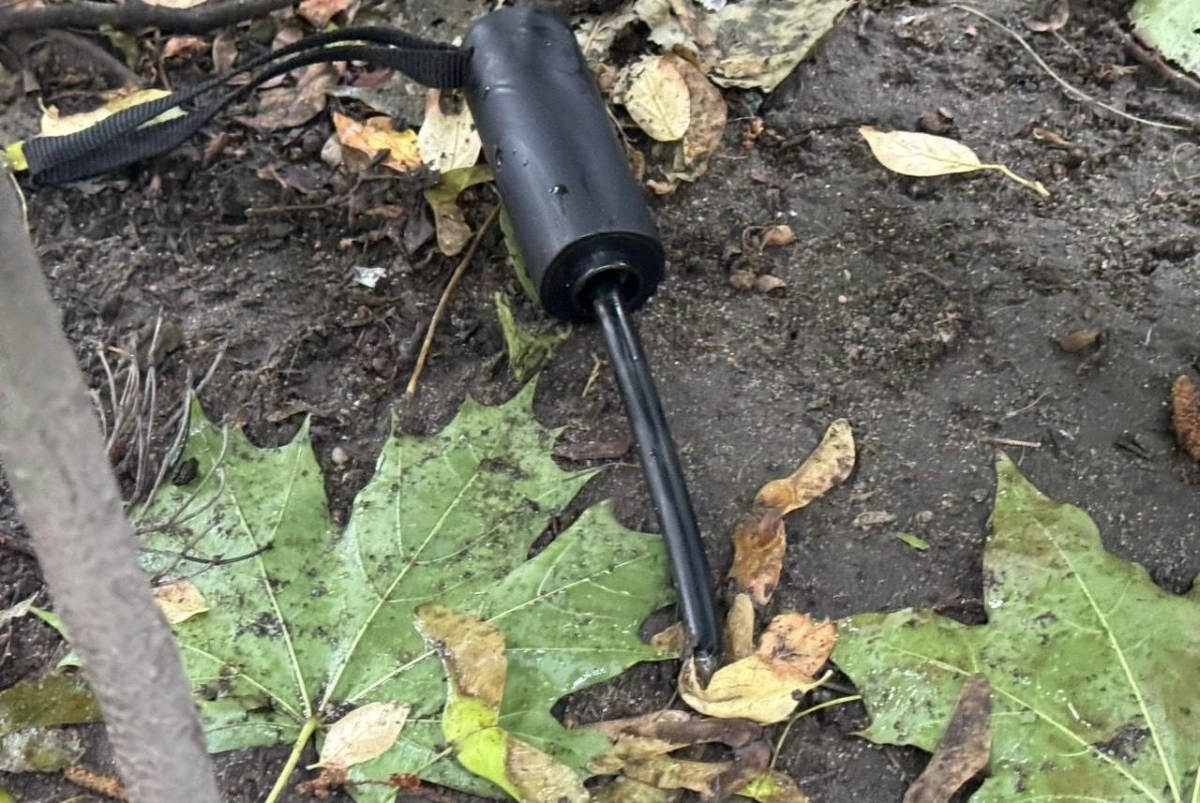 Нетрезвый мужчина ранил оппонента рукояткой зонта во время конфликта в Петербурге - tvspb.ru