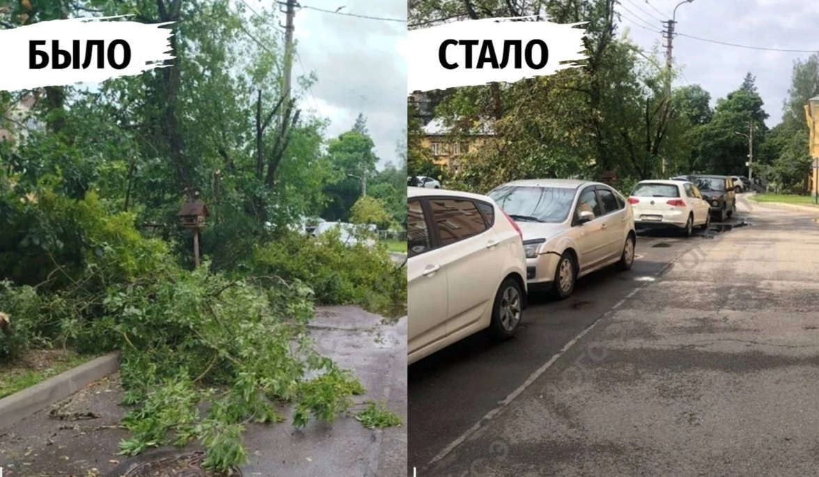 Дворы в Петербурге полностью убрали после ураганного ветра - tvspb.ru