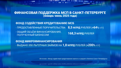 За первое полугодие Фонд содействия кредитованию малого и среднего бизнеса Санкт-Петербурга предоставил поручительства на 8,5 млрд рублей