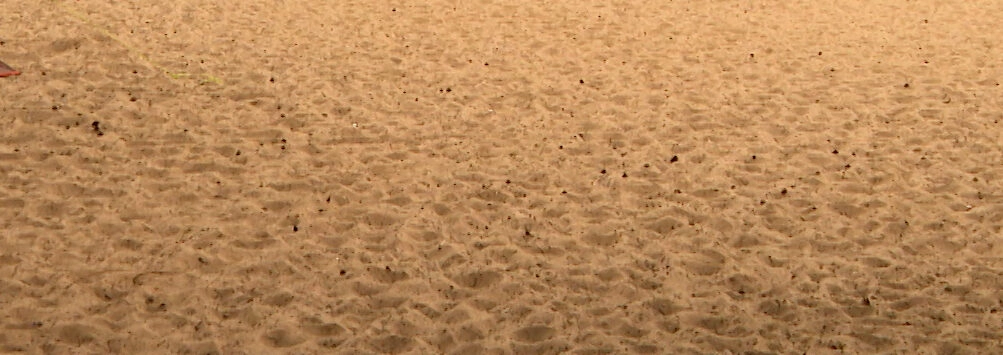 Пляж Колонистского пруда в Пушкине благоустроят за 111 млн рублей - tvspb.ru