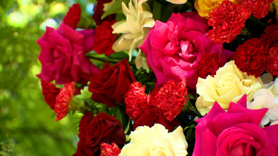 Цветы и музыка Победы: в Павловске откроется фестиваль «Императорский букет»